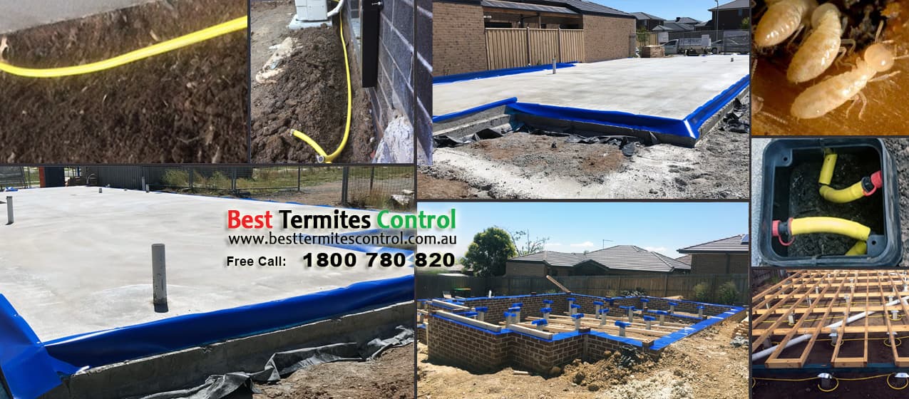 Best Termites Control in Doncaster